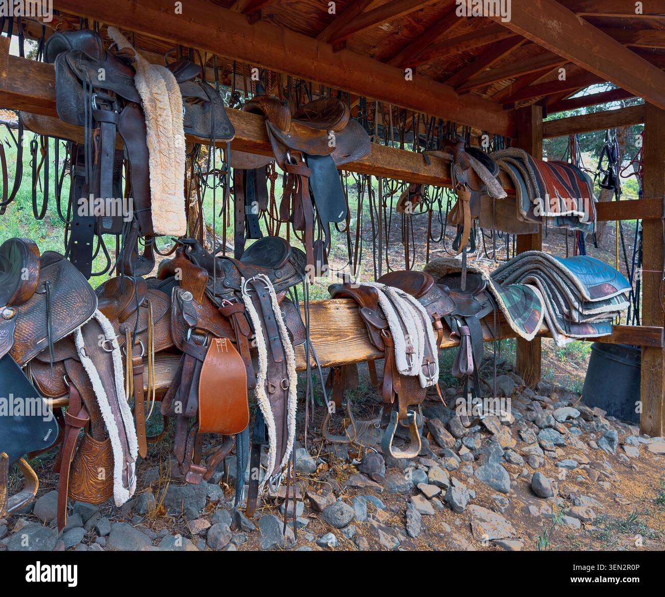 Ranger des selles, des cuirs, des harnais, des couvertures pour chevaux prend de la place dans le hangar à bois. Le hangar a des supports robustes avec plafond pour la protection. Banque D'Images