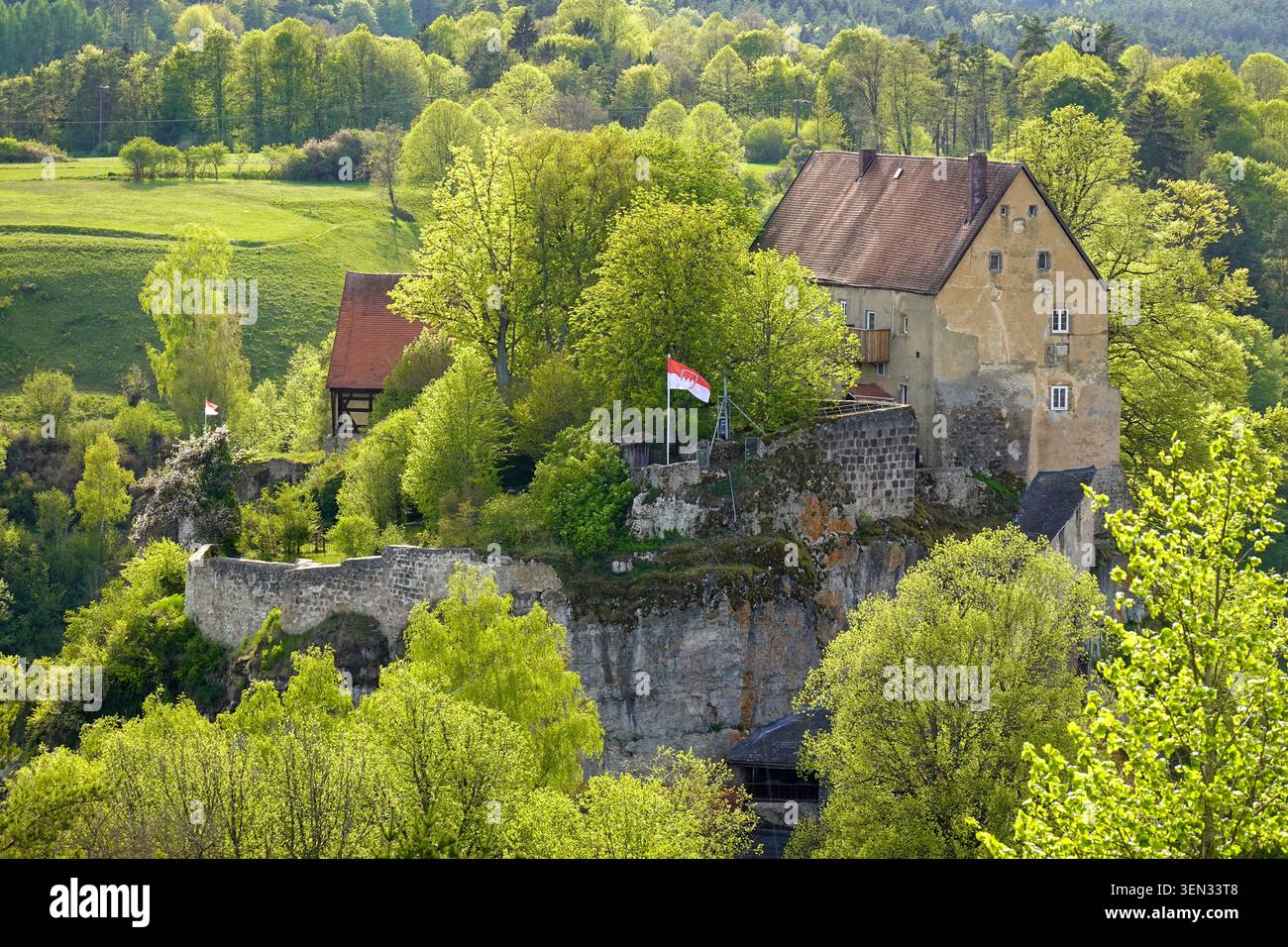 Château de Pottenstein au-dessus du paysage vert de printemps, Suisse franconienne, Pottenstein, haute-Franconie, Franconie, Bavière, Allemagne Banque D'Images