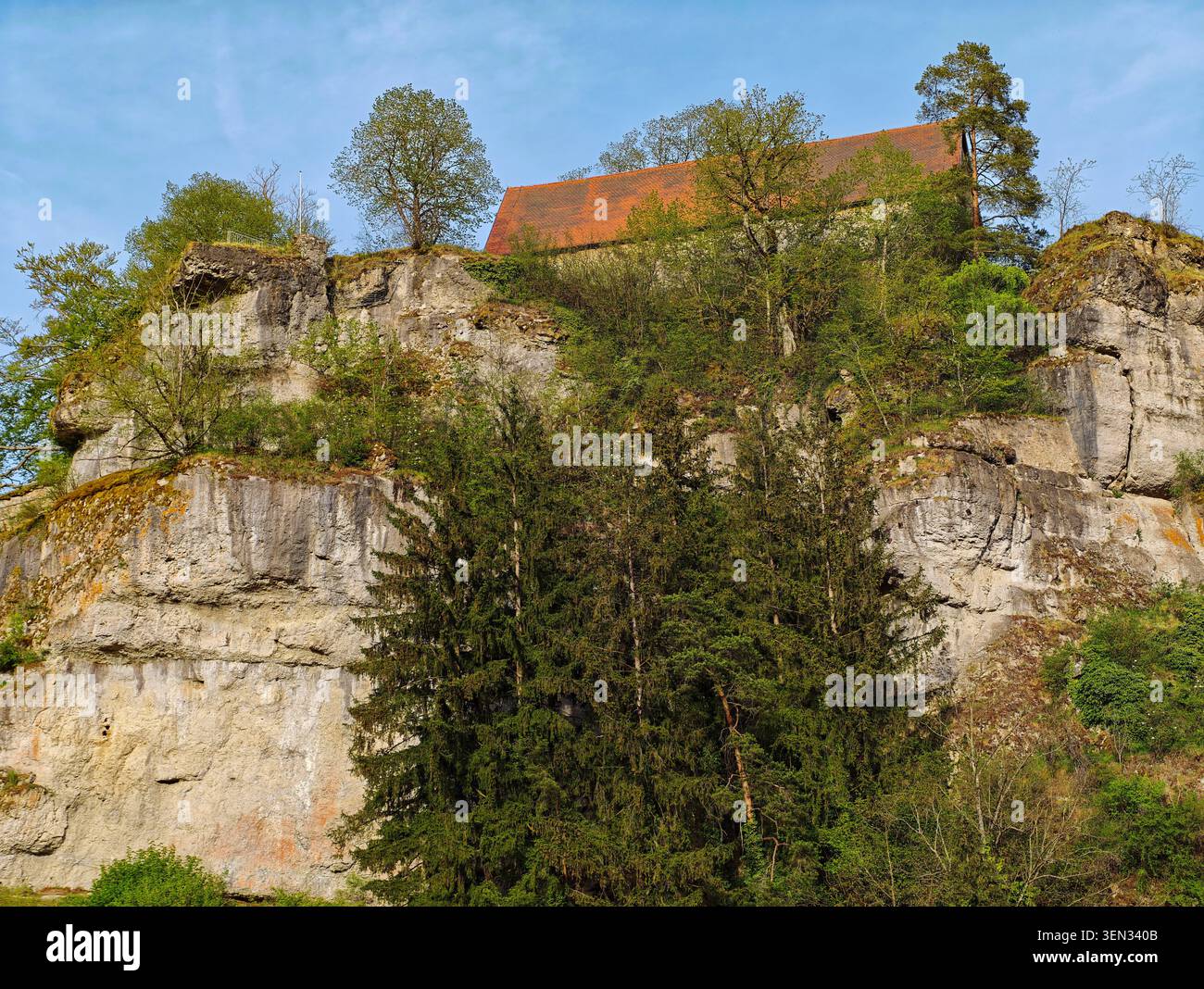 Château de Pottenstein au-dessus du paysage vert de printemps, Suisse franconienne, Pottenstein, haute-Franconie, Franconie, Bavière, Allemagne Banque D'Images