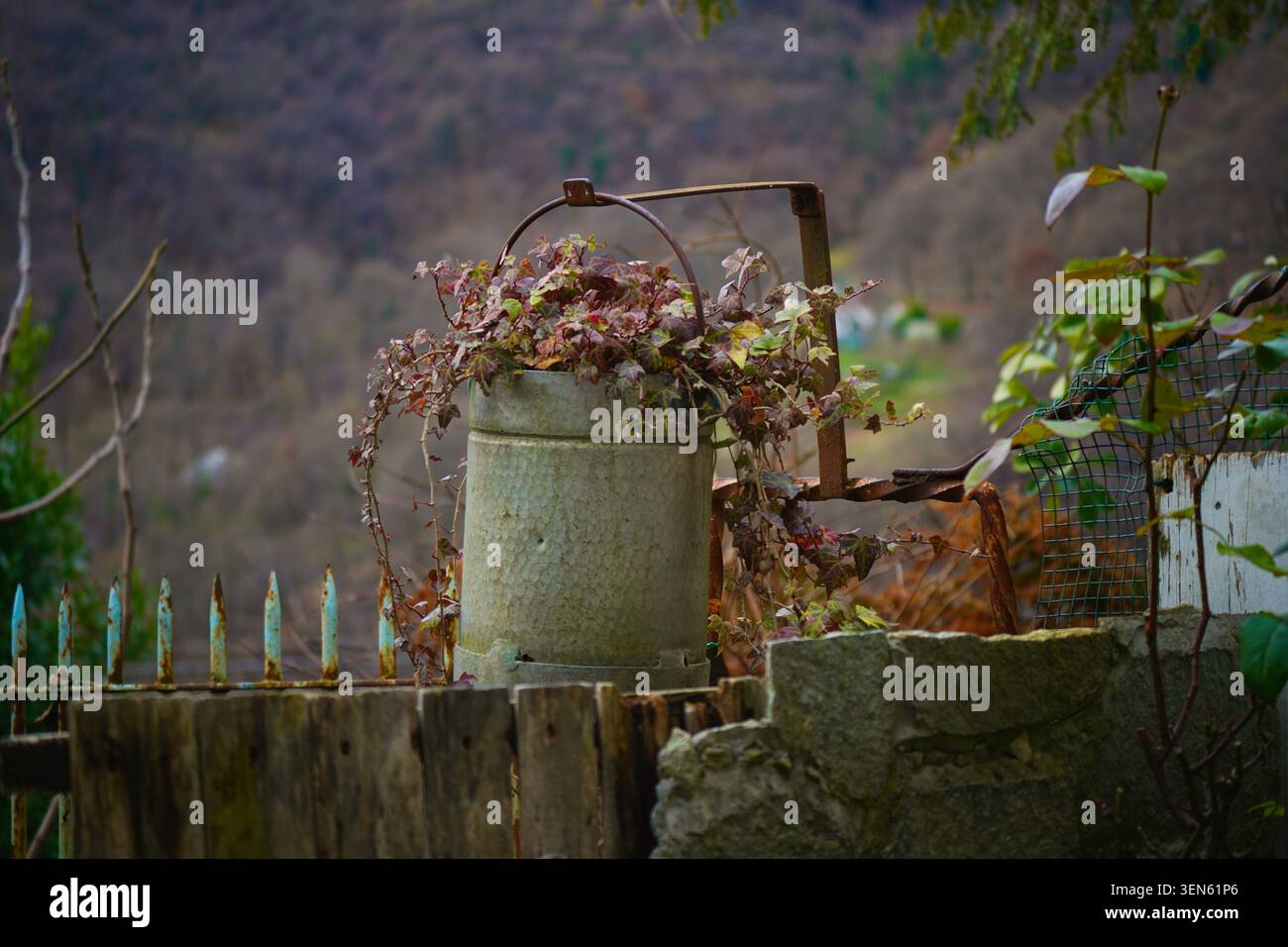 Un vieux seau rouillé, récupéré par la nature, se dresse tranquillement parmi les vignes d'automne et les plantes séchées dans un coin oublié de la campagne. Banque D'Images