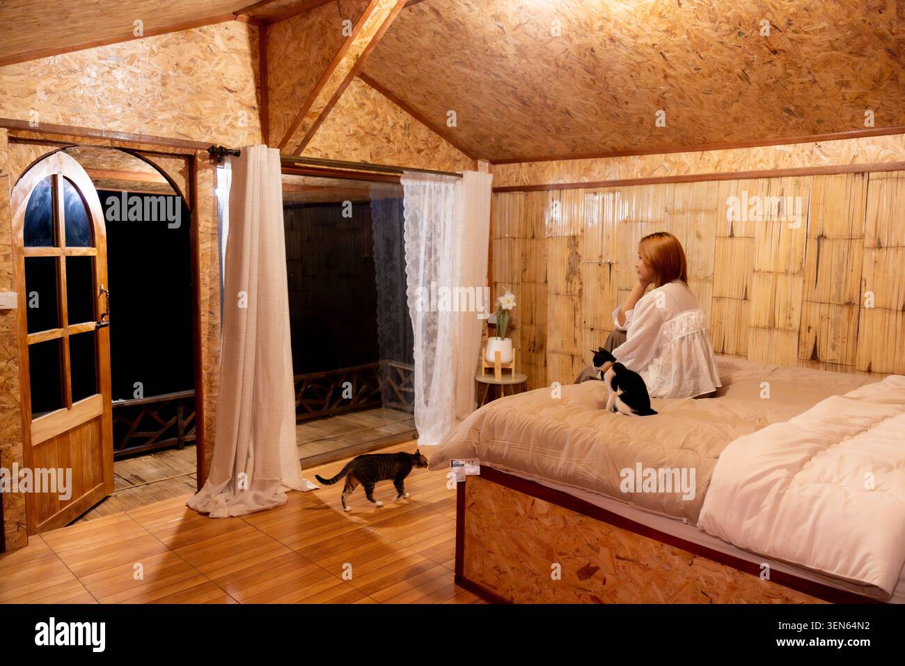 Femme paisible assise sur un lit confortable à l'intérieur de la chambre de cabine en bois rustique la nuit, profitant de moments intérieurs tranquilles avec son chat de compagnie, se sentant calme et détendu Banque D'Images