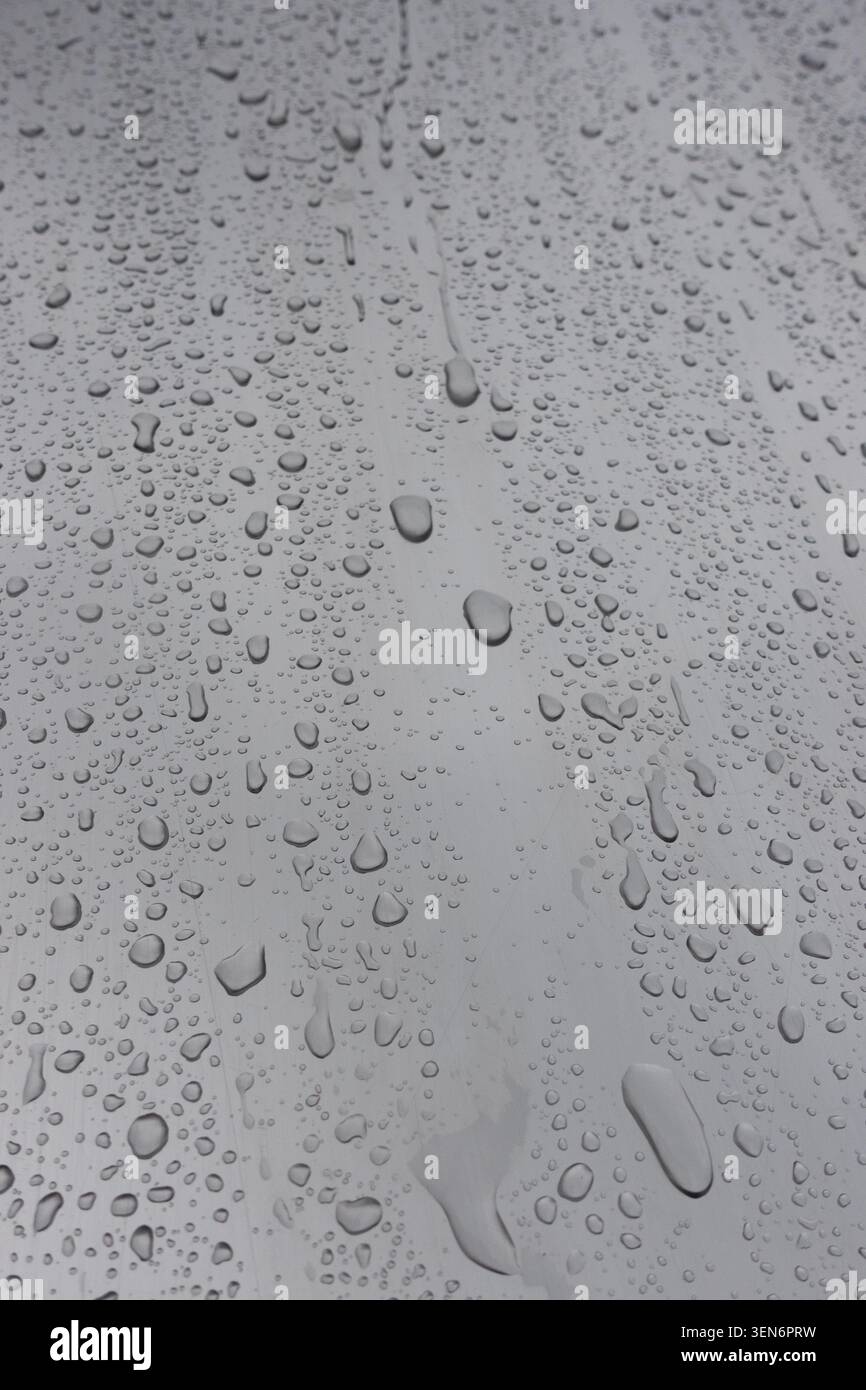 Gouttelettes d'eau sur une surface grise, texture de pluie abstraite avec lumière douce, motif et détails monochromes minimaux Banque D'Images