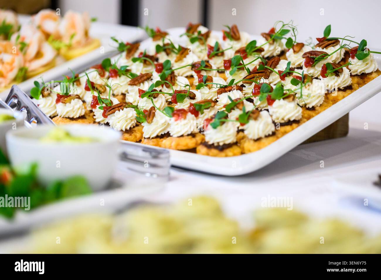 Un élégant plateau de restauration composé de petits canapés gastronomiques garnis de fromage à la crème fouettée, de noix de pécan et de délicats microverts. Le peu profond Banque D'Images