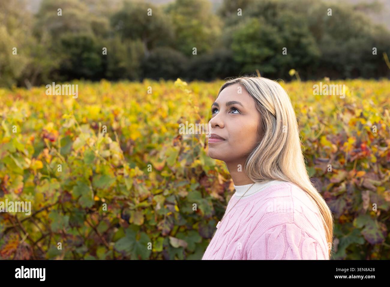 Femme debout dans le vignoble portant un pull en maille torsadée rose, collier pendentif regardant vers le haut, espace de copie Banque D'Images