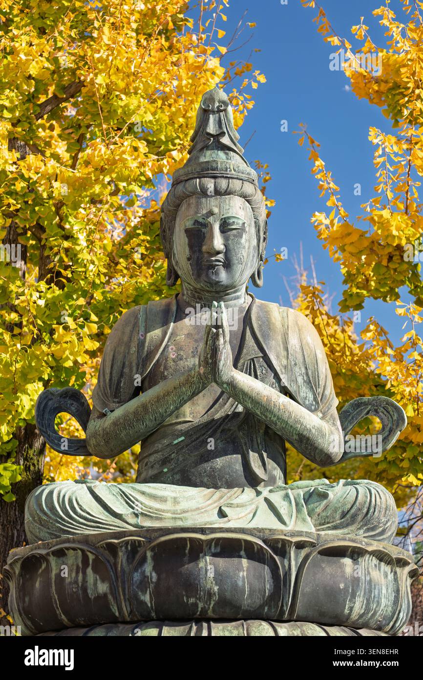 Statue de Bouddha en pierre assise en méditation entourée de feuilles de ginkgo jaune doré d'automne, Tokyo, Japon Banque D'Images