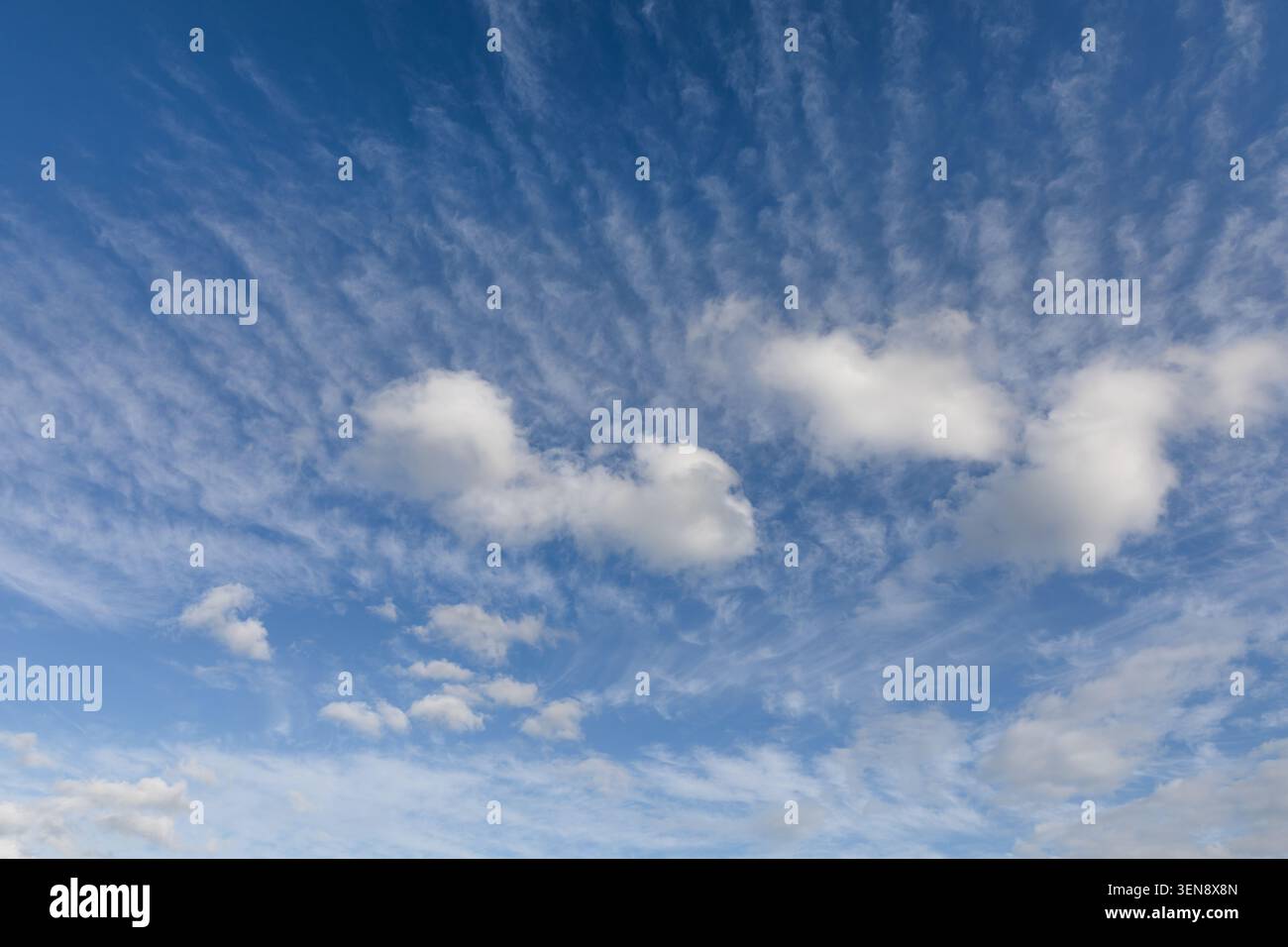 Beaux nuages blancs et fond de ciel bleu sur Norfolk Angleterre Royaume-Uni. Cloudscape et Skyscape arrière-plan Banque D'Images