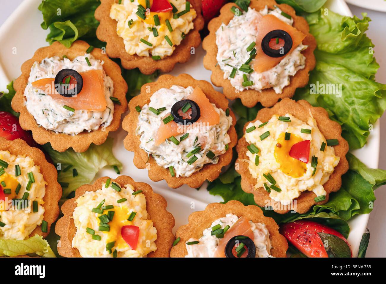 Tartelettes salées garnies de pâtes à tartiner crémeuses et d'herbes. Fond d'apéritif de fête pour les célébrations de restauration de buffet et les rassemblements festifs. Banque D'Images