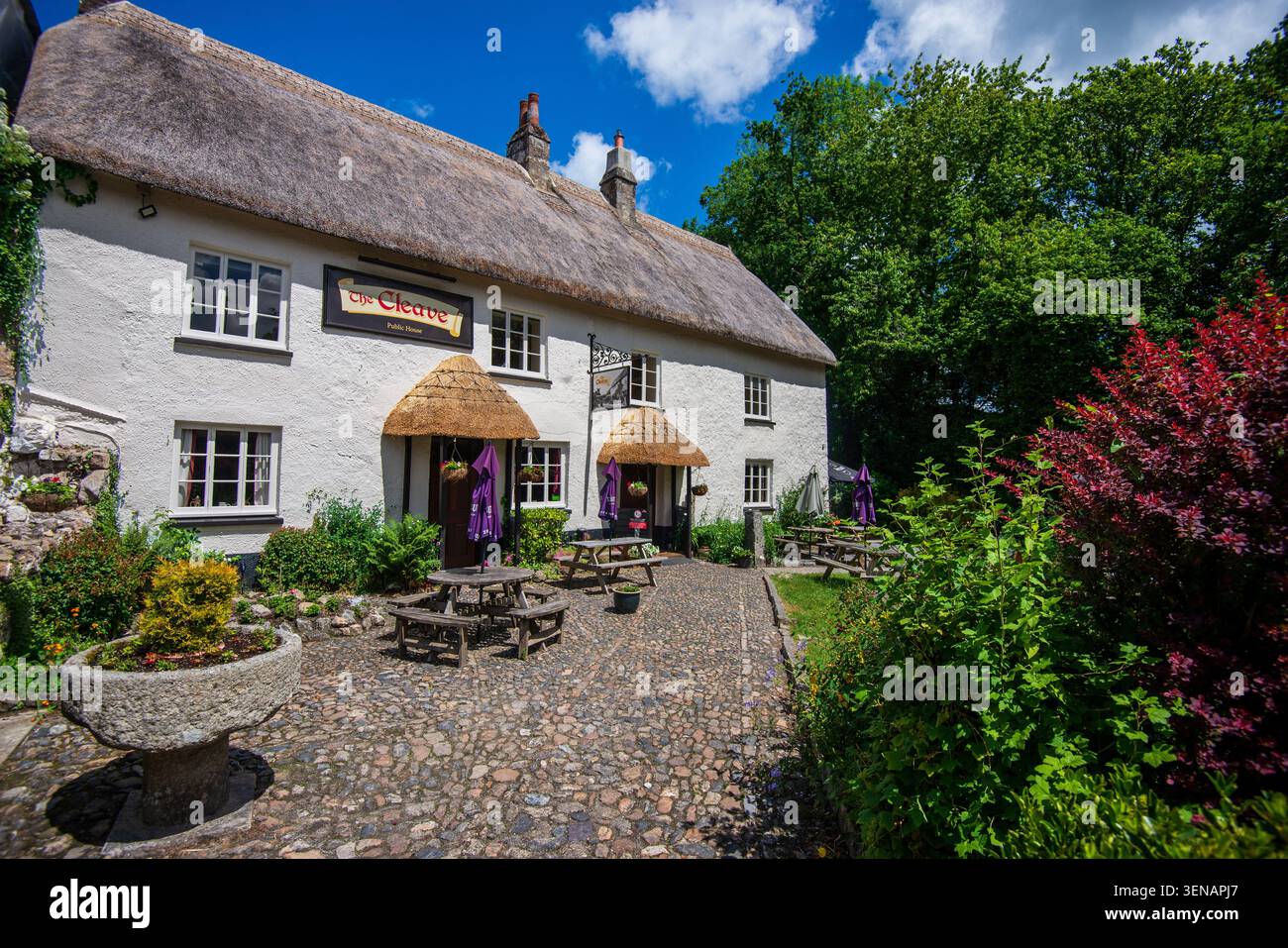 The Cleave un pub au toit de chaume à Lustleigh, dans le Devon rural à Englands au sud-ouest. Banque D'Images