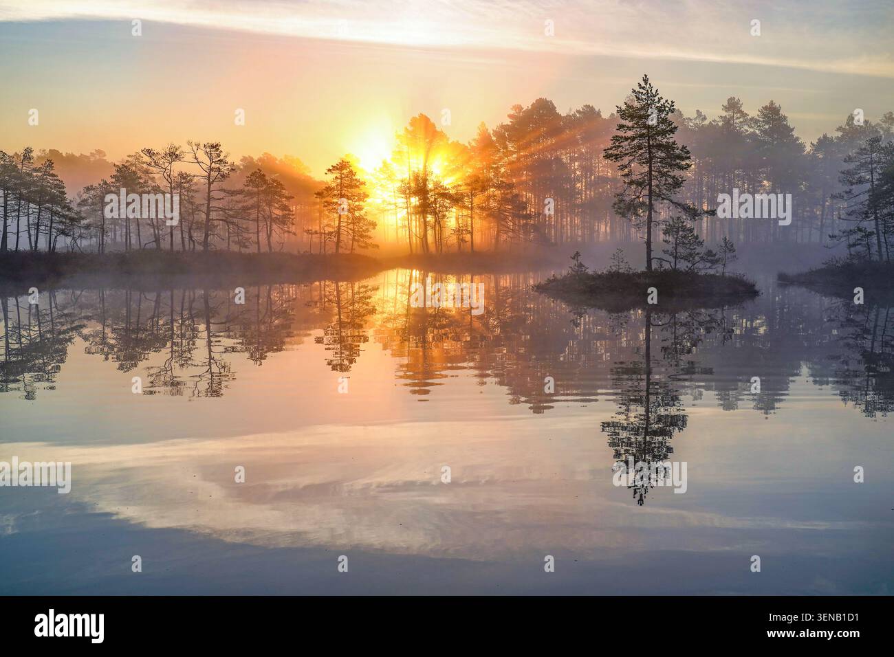 Lever du soleil reflété dans un lac de tourbière brumeuse à la réserve naturelle de Laugas Bog, Lettonie Banque D'Images