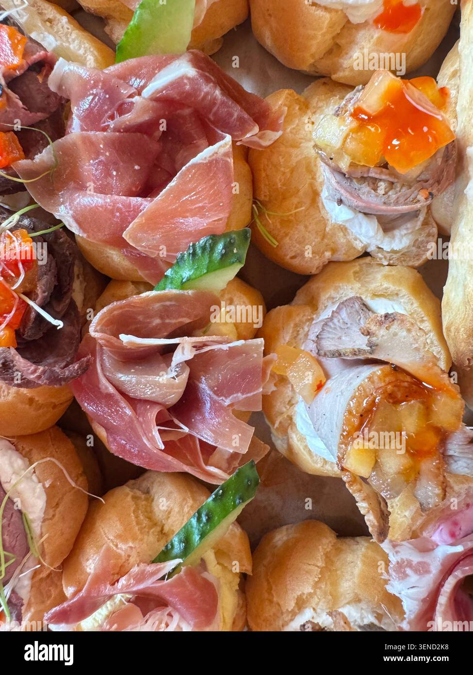 Gros plan sur un assortiment de hors-d'œuvre gastronomique sur du pain avec fruits de mer, légumes et micro-légumes décoratifs pour mariage, fête ou événement d'affaires. Banque D'Images