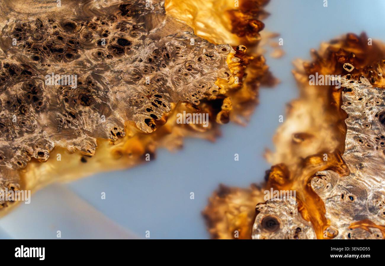 Bois de ronce exotique et fond abstrait de résine époxy, surface décorative premium avec des détails complexes de grain naturel Banque D'Images