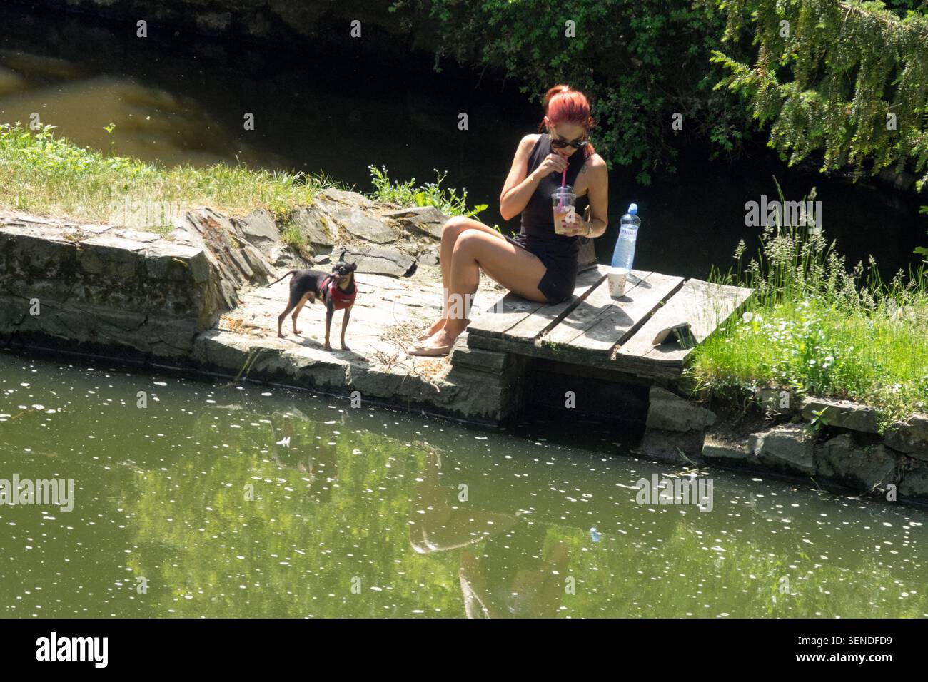 Jeune femme aux cheveux rouges buvant de la glace à côté de son petit chien sur une jetée en bois près d'une rivière en été Banque D'Images