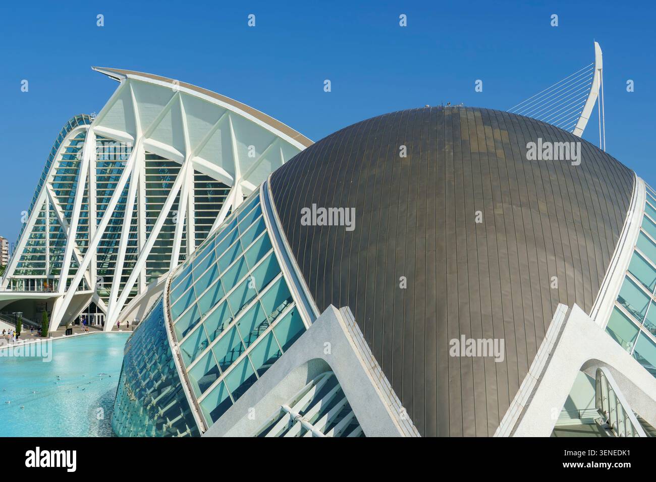 La Cité des Arts et des Sciences de Valence Espagne avec son architecture futuriste entourant une piscine bleu clair sous un ciel ensoleillé Banque D'Images