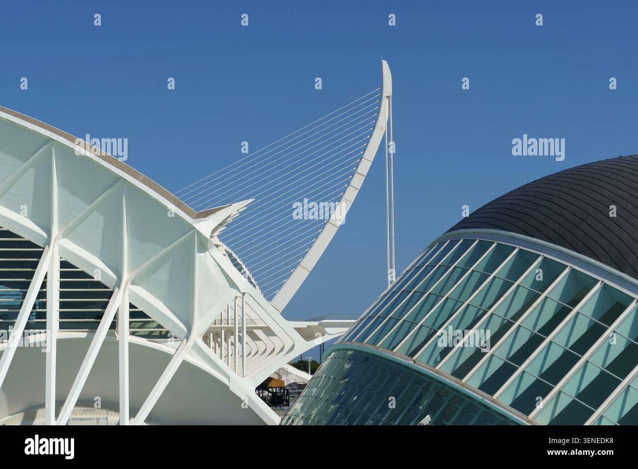 La Cité des Arts et des Sciences de Valence Espagne avec son architecture futuriste entourant une piscine bleu clair sous un ciel ensoleillé Banque D'Images