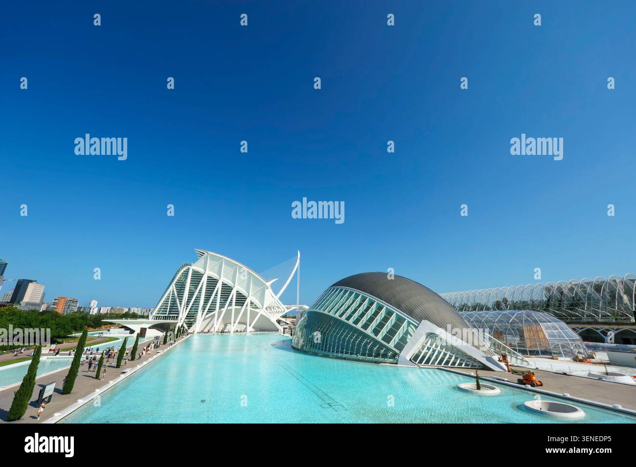 La Cité des Arts et des Sciences de Valence Espagne avec son architecture futuriste entourant une piscine bleu clair sous un ciel ensoleillé Banque D'Images