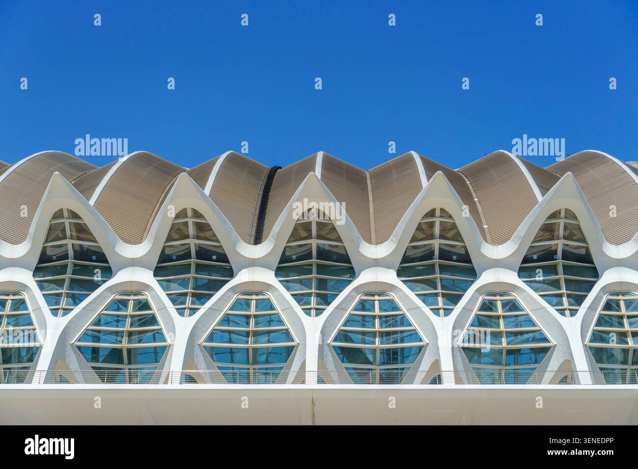 Architecture futuriste moderne du complexe de la Cité des Arts et des Sciences conçu par Santiago Calatrava à Valence Espagne sous un ciel bleu clair Banque D'Images