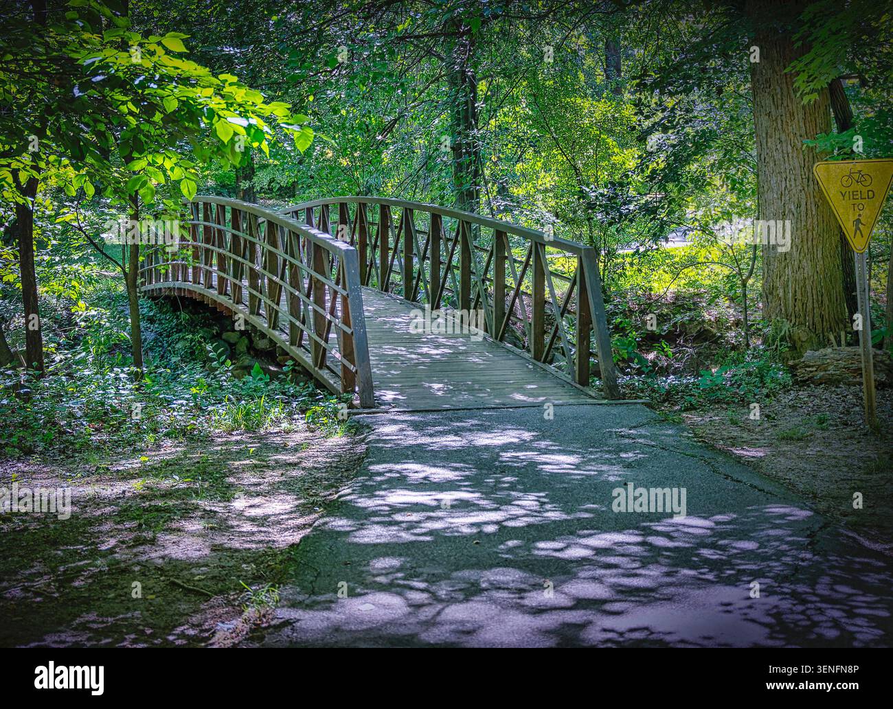 Une passerelle piétonne en bois dans un cadre de parc rural Banque D'Images