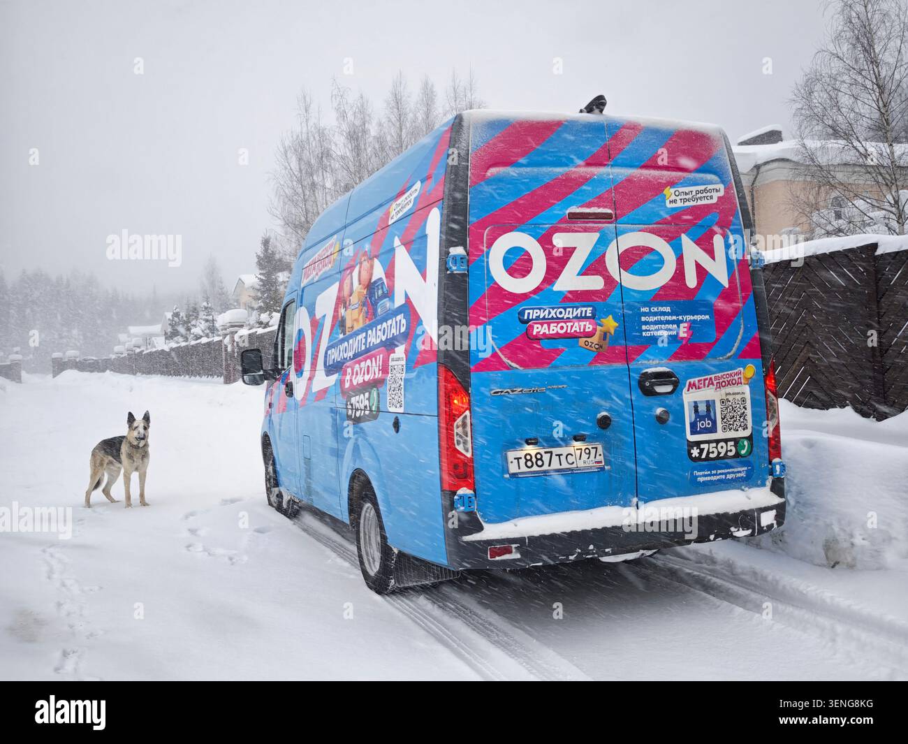 Kirov, Russie - 27 janvier 2026 : fourgonnette de livraison pour Ozon est garée dans une zone enneigée tandis qu'un chien se tient à proximité dans la scène hivernale. Banque D'Images