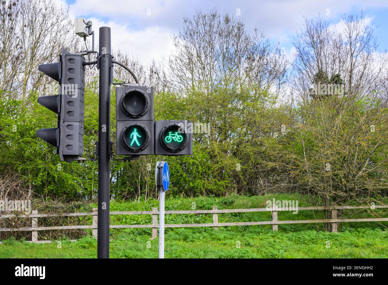 Signal vert pour piétons et cyclistes à un carrefour routier, promouvant des déplacements actifs sécuritaires et un transport urbain durable. Banque D'Images