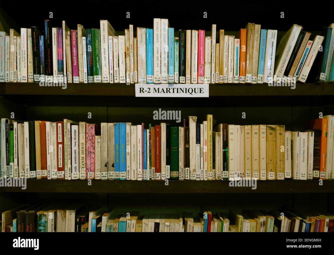 Livres sur étagères dans une bibliothèque publique (Bibliothèque Schœlcher), Fort-de-France, Martinique, Caraïbes françaises Banque D'Images