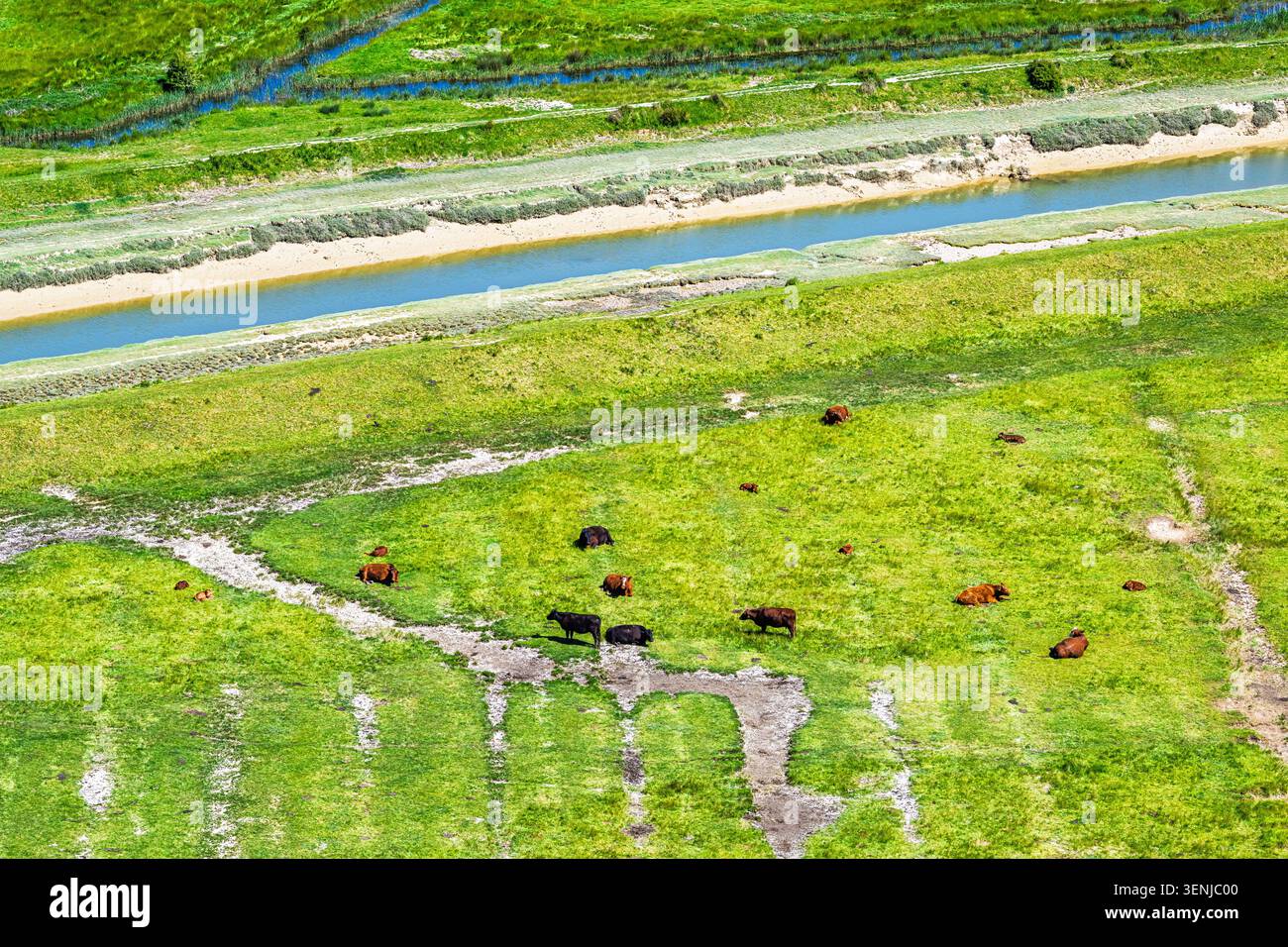 Vallée de Cuckmere sur Litlington White Horse, Hindover Hill, South Downs, East Sussex, Angleterre Banque D'Images