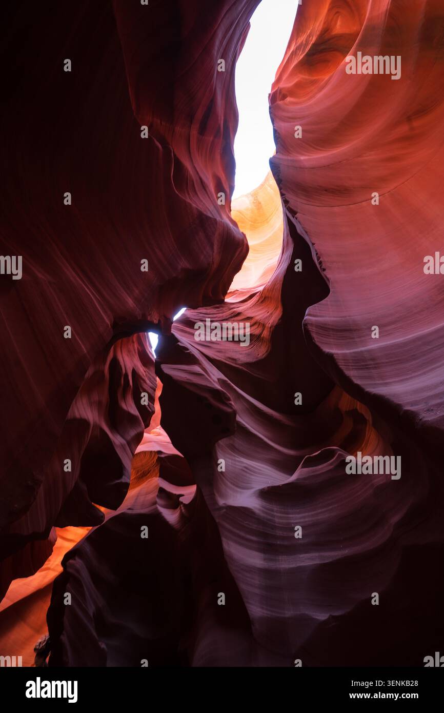 Sandstone Canyon Walls Banque D'Images