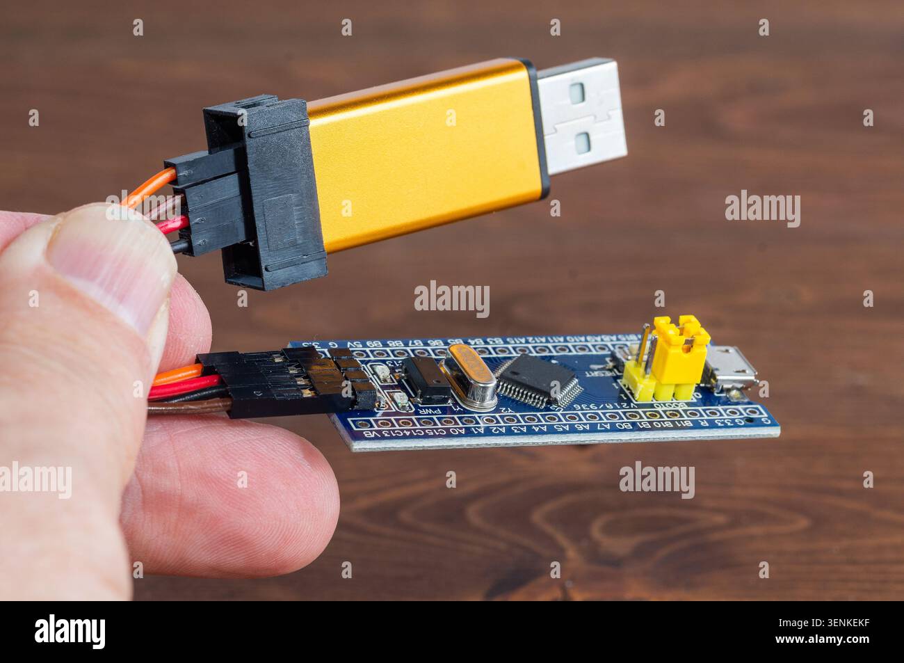 Carte de développement STM et programmateur en main Banque D'Images