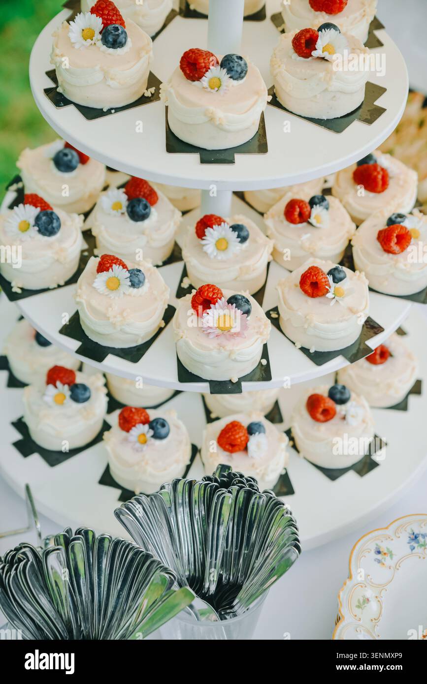 Belle présentation de mini gâteaux givrés surmontés de framboises fraîches, de bleuets et de fleurs comestibles sur un stand de desserts étagés. Parfait pour mariage Banque D'Images