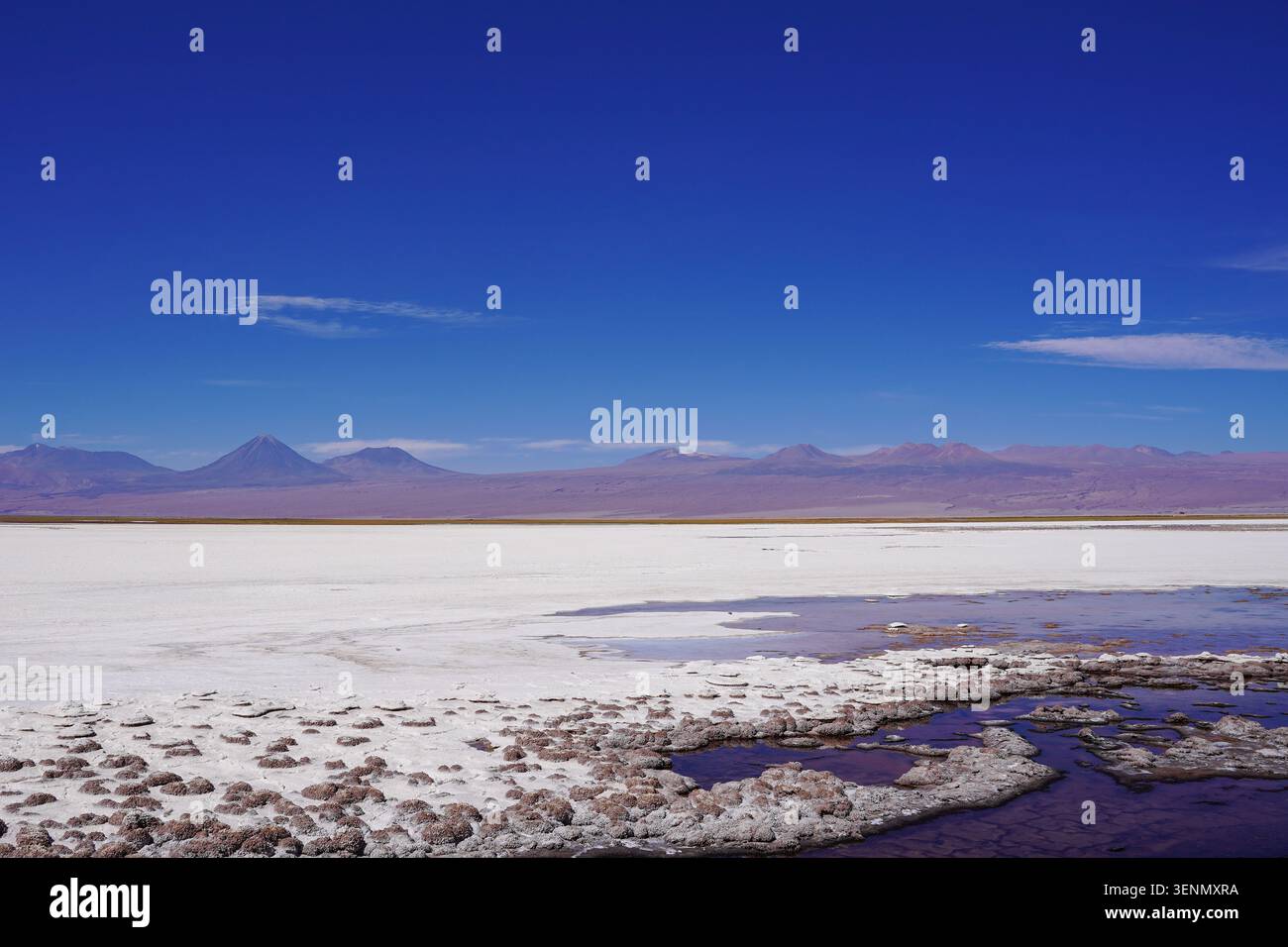 Croûte de sel et piscines avec toile de fond des Andes, Laguna Tebinquiche, désert d'Atacama, Chili Banque D'Images