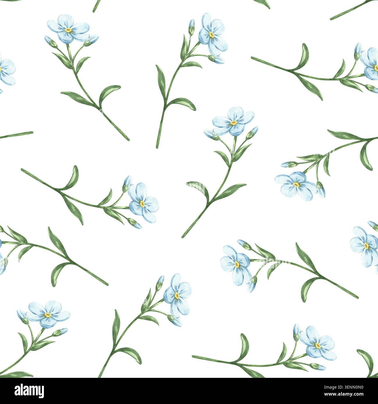 Motif aquarelle sans couture avec Forget-me-Nots bleu Banque D'Images