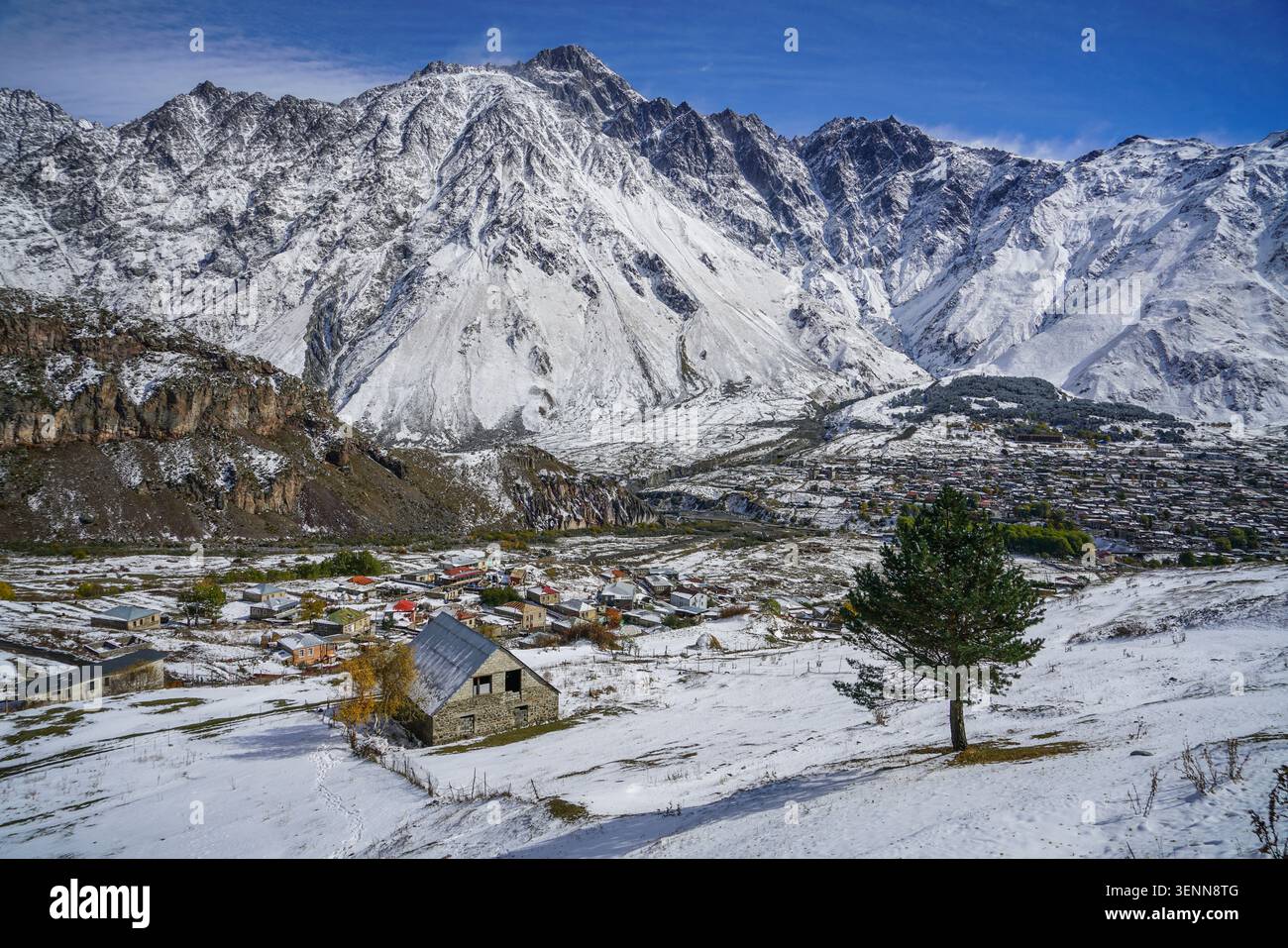 Une vue aérienne présente le village de Stepantsminda en Géorgie, couvert de neige fraîche d'hiver, avec un arbre à feuilles persistantes proéminent au premier plan. Imposant Banque D'Images