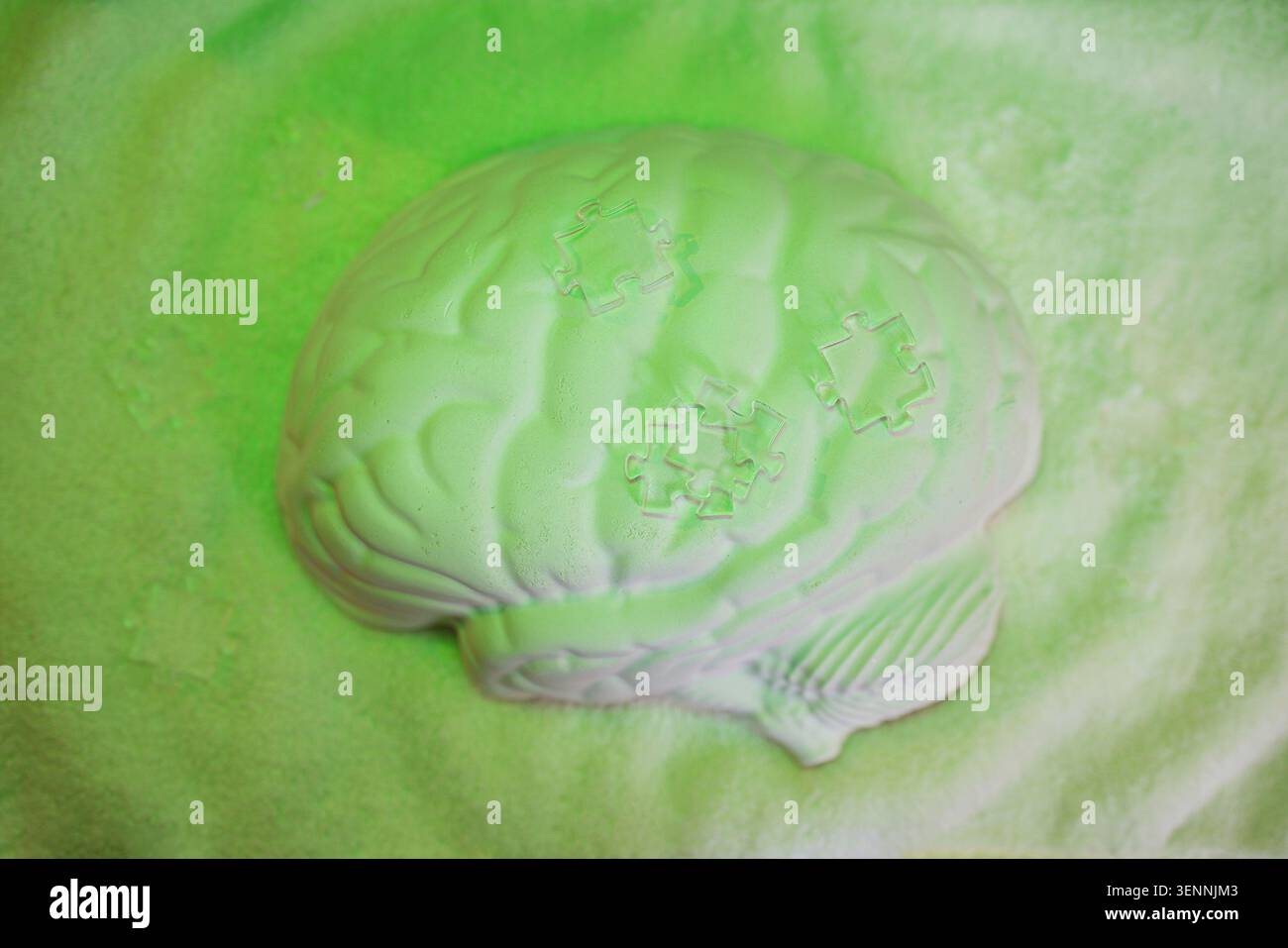 Le modèle de cerveau blanc avec des conceptions de pièces de puzzle repose sur une surface douce éclairée par la lumière verte, adapté aux affichages éducatifs ou à un usage décoratif Banque D'Images