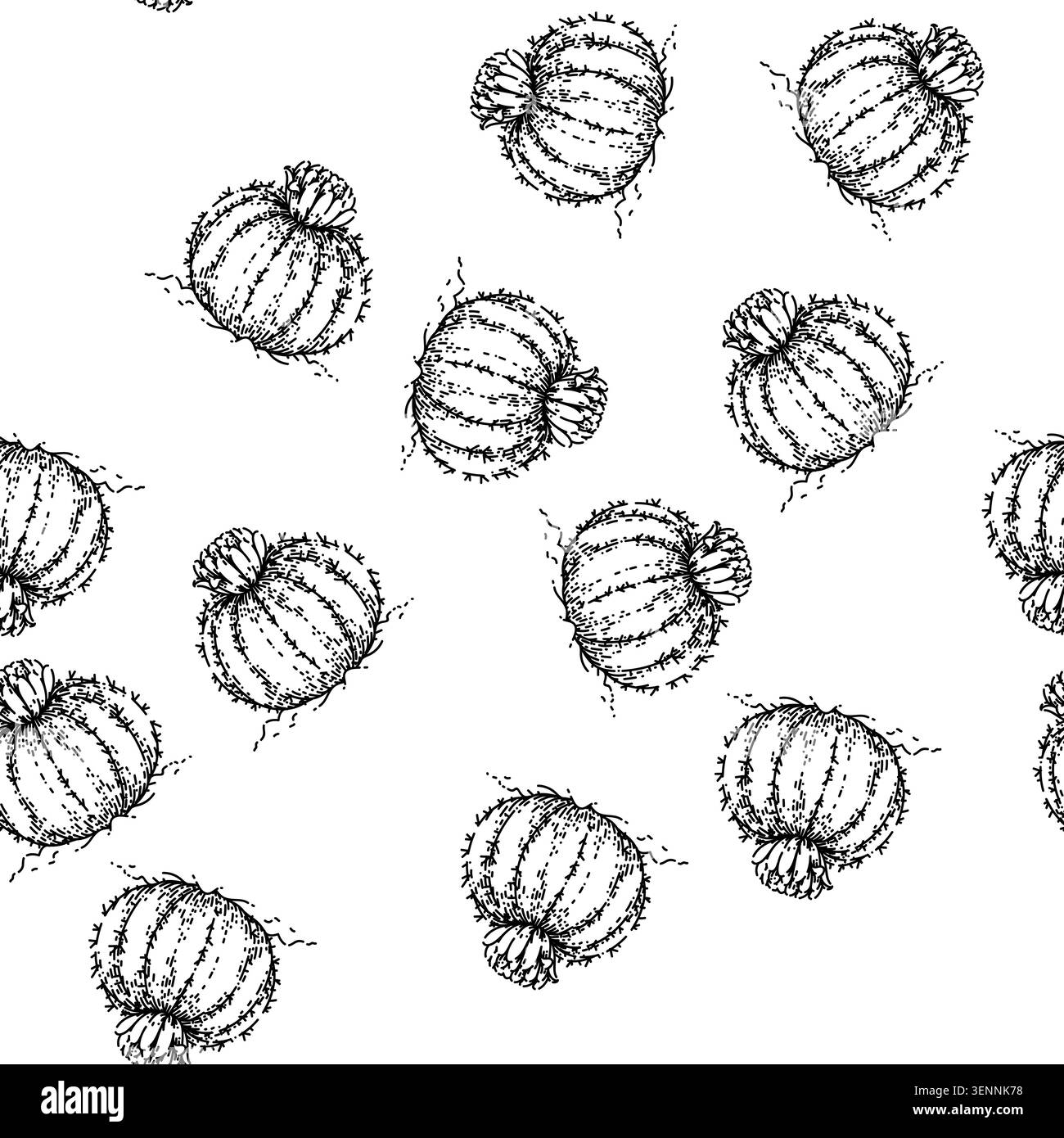 croquis de fleur de cactus de modèle sans couture dessiné à la main vecteur plante désertique de fleur. cactus roses. opuntia tropicale. vert succulent vintage ligne noire illustr Illustration de Vecteur