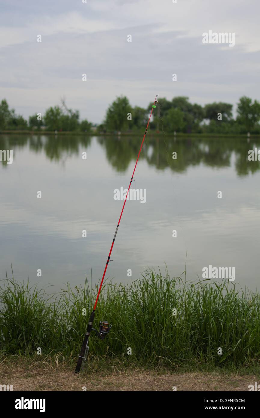 Une canne à pêche solitaire se tient debout le long de la rive herbeuse d'un lac tranquille sous un ciel nuageux, avec des eaux calmes reflétant le gr luxuriant environnant Banque D'Images