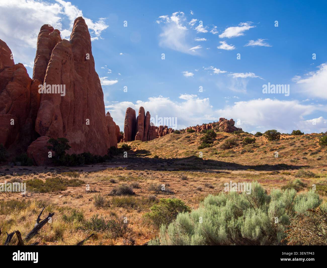 Terrain sablonneux aride parsemé d'arbustes et de grands affleurements de grès dans le parc national d'Arches, Moab, Utah Banque D'Images