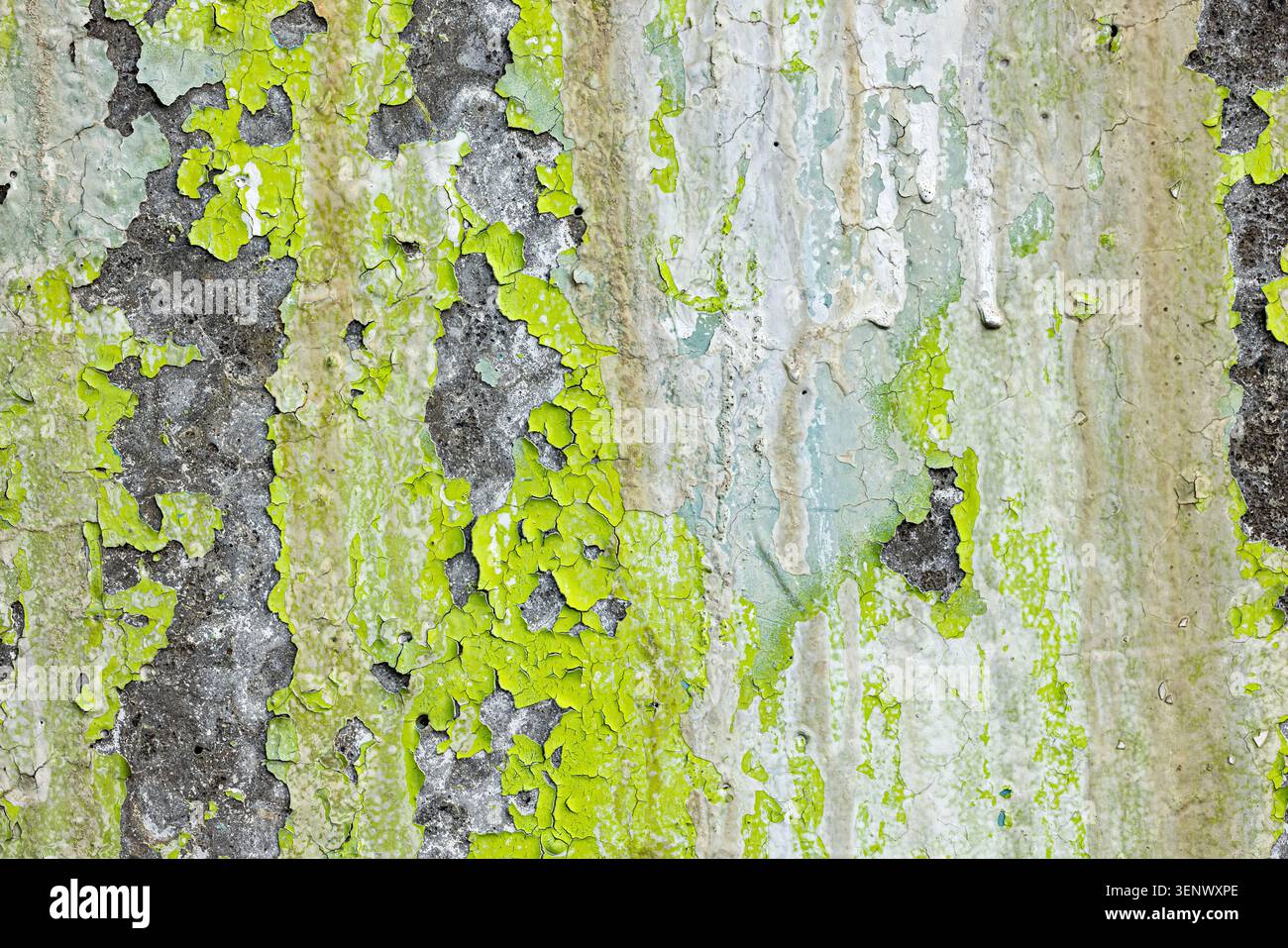 Texture de peinture écaillée gris vert altéré sur une surface murale vintage Banque D'Images