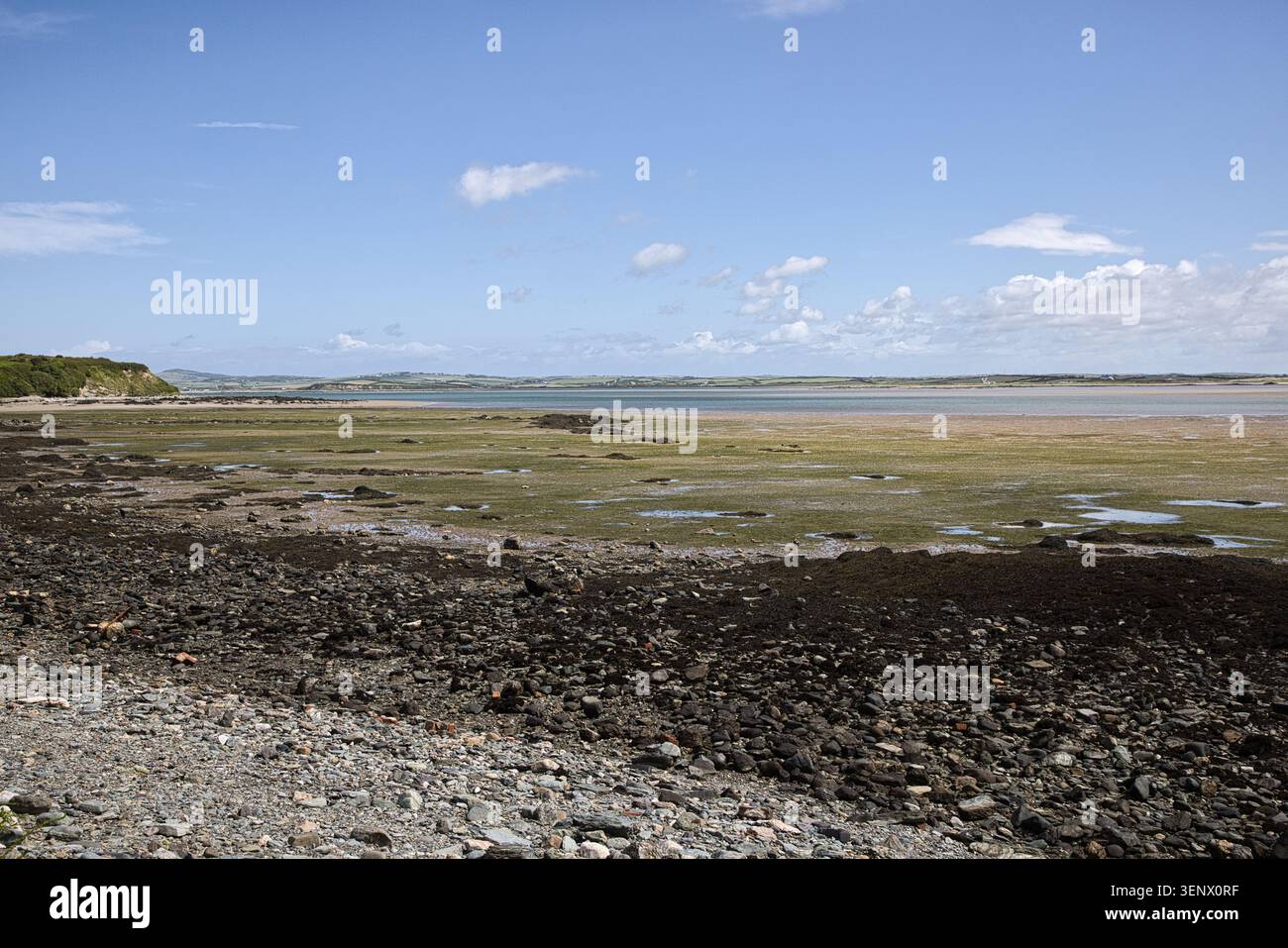 Un large rivage rocheux et boueux à marée basse regardant à travers le bassin de l'estuaire depuis Penrhos Coastal Park, île d'Anglesey, pays de Galles. Banque D'Images