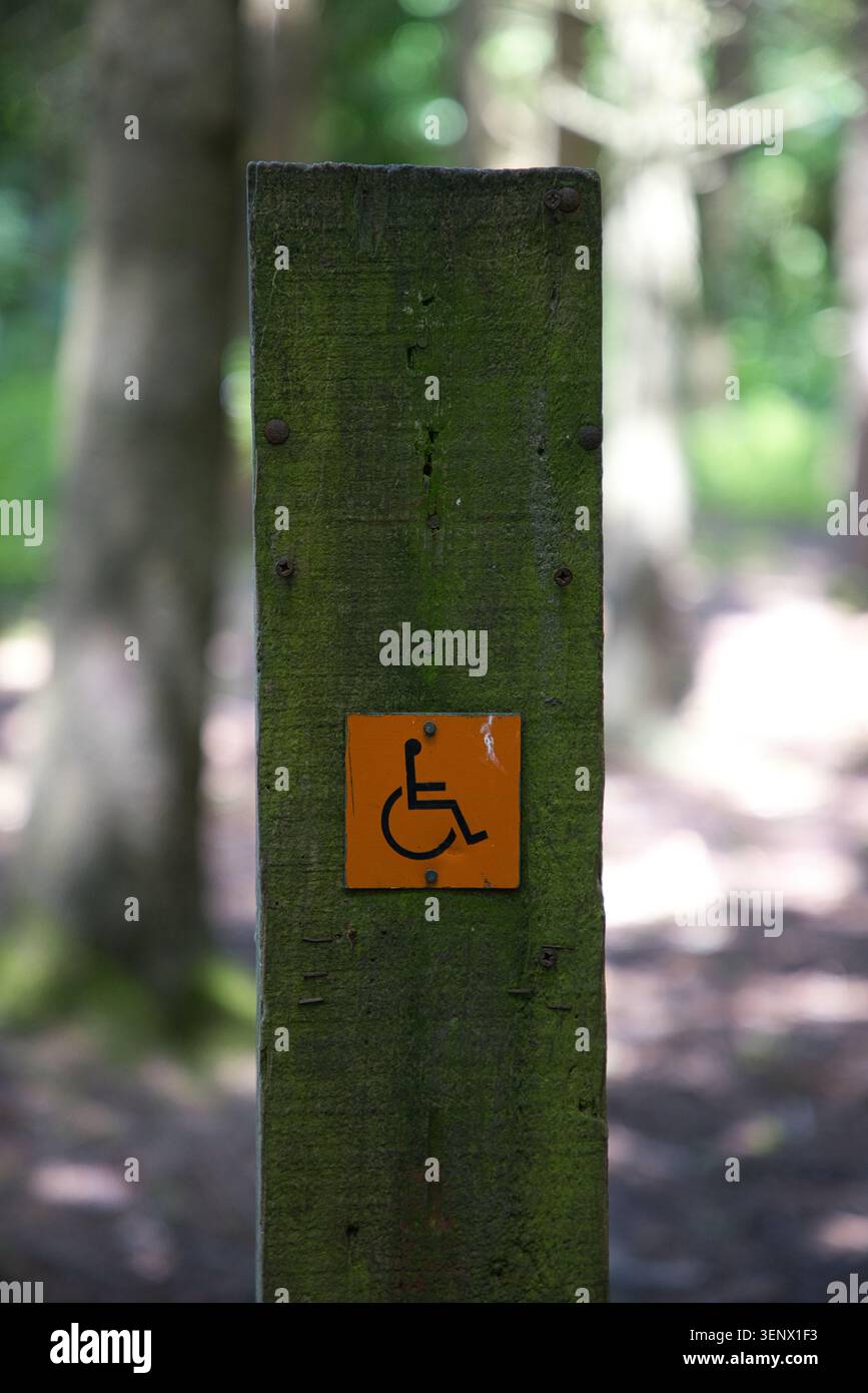 Gros plan d'un panneau en bois vieilli avec un symbole orange d'accessibilité en fauteuil roulant dans une forêt à Penrhos Coastal Park, au pays de Galles. Banque D'Images
