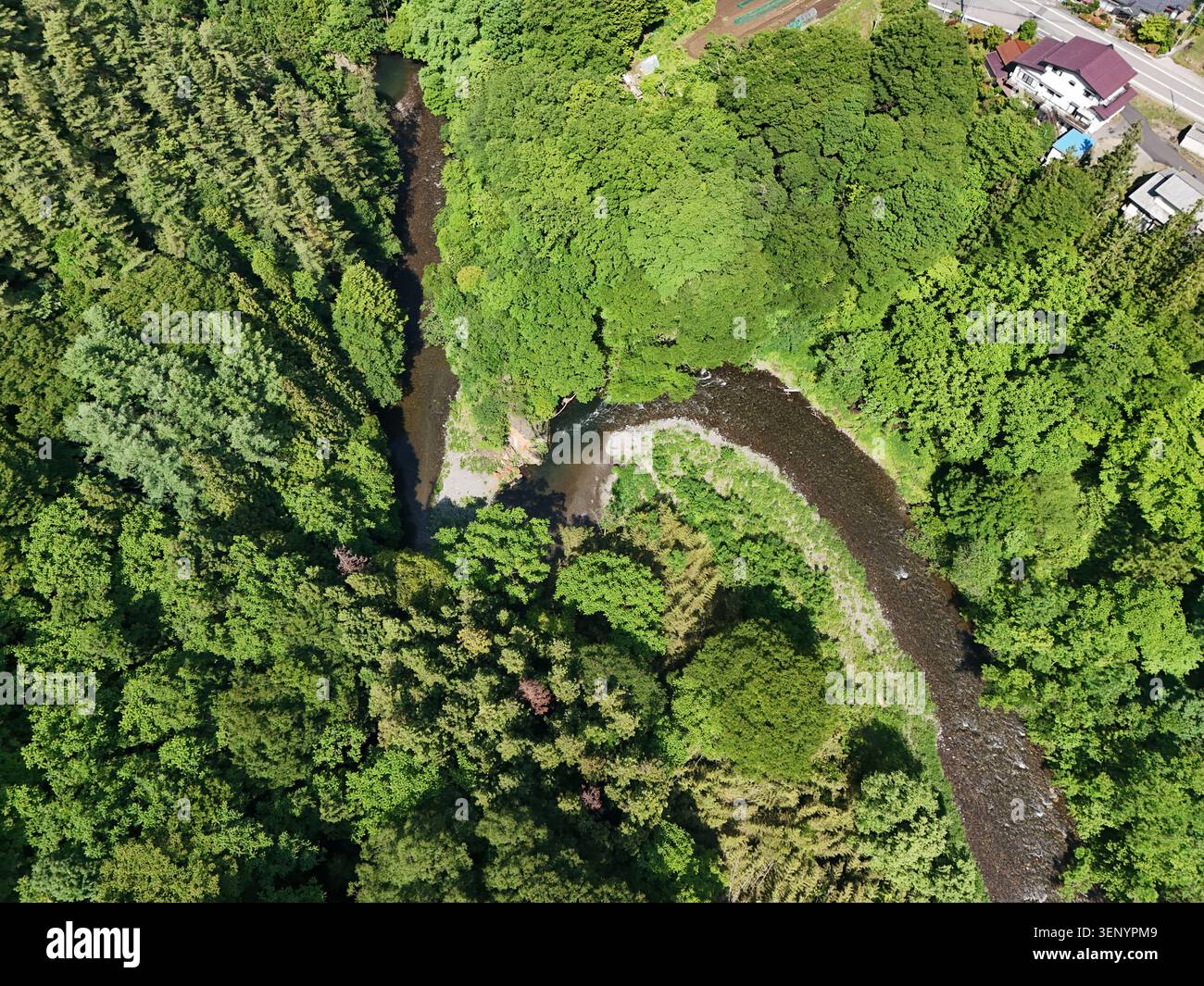 La rivière serpente à travers la canopée dense de la forêt. La lumière du soleil filtre à travers les grands arbres verts au-dessus. Des roches bordent le lit de la rivière, créant des courbes naturelles. Petit s Banque D'Images