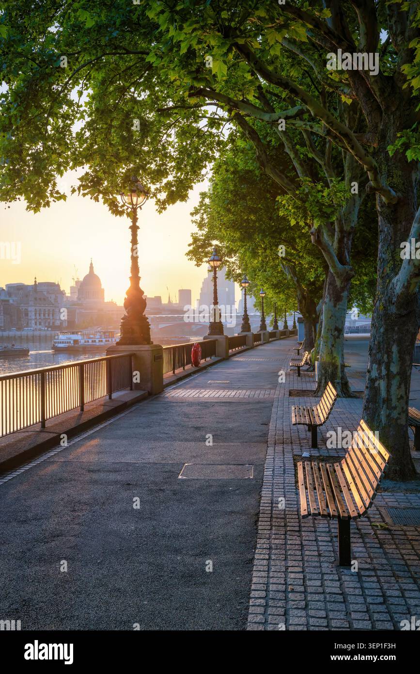 Vue calme sur la Southbank à Londres, Angleterre, avec vue sur la ville pendant un lever de soleil d'été doré sans gens Banque D'Images