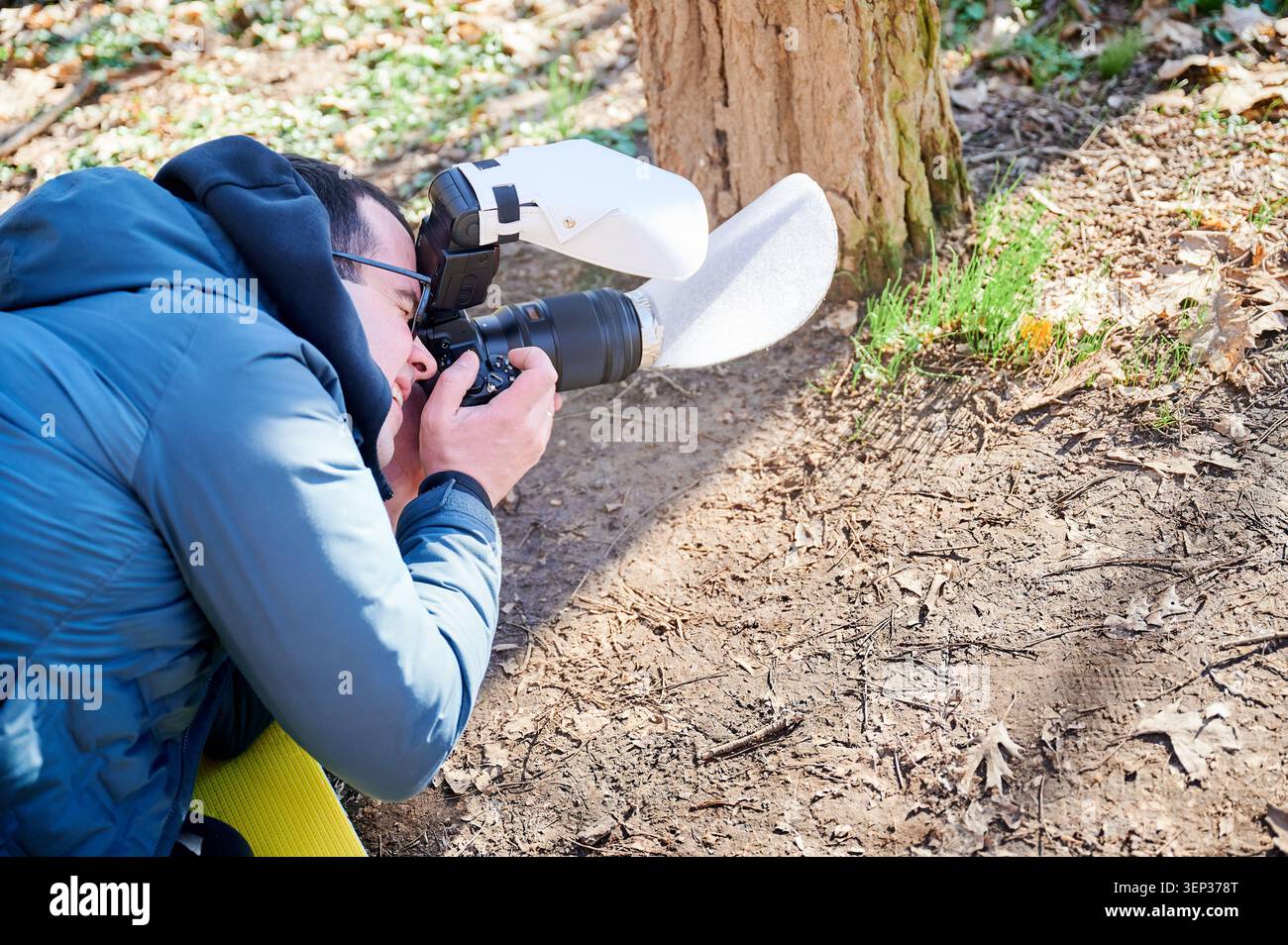 Le photographe de la nature s'agenouille sur le sol de la forêt pour capturer des gros plans en bas angle avec l'appareil photo dans la lumière printanière des bois. Utile pour le marketing extérieur, la publicité de loisirs, l'éducation et les concepts de style de vie Banque D'Images