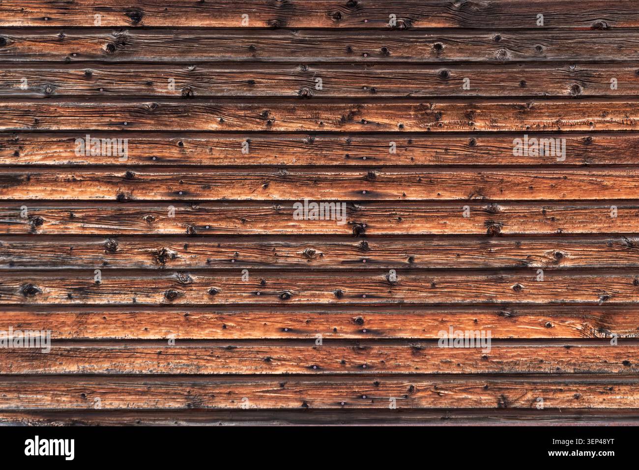 Fond de mur en bois altéré avec grain de bois naturel, nœuds et texture rustique. Surface en bois plein cadre adaptée aux arrière-plans de conception et aux copies Banque D'Images