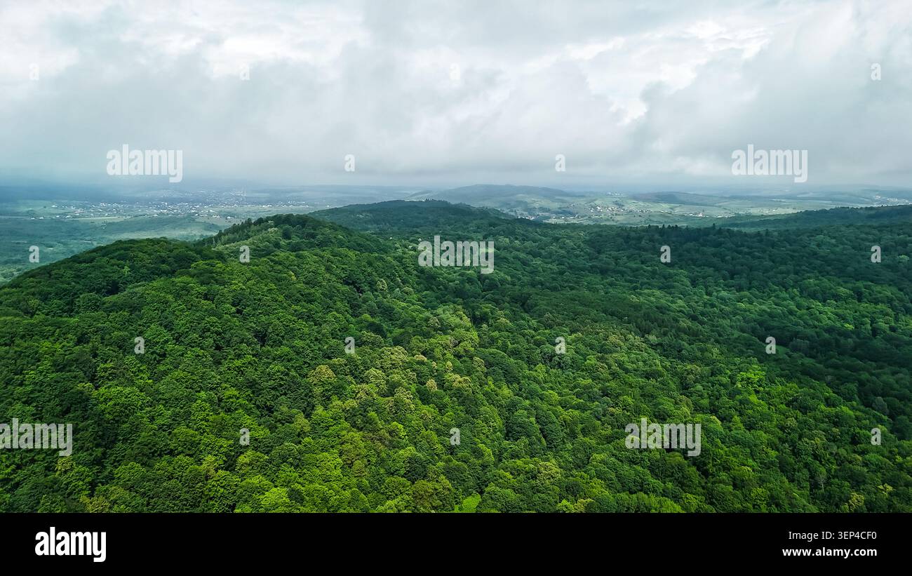 Les cimes des arbres sans fin forment un tapis émeraude dense à travers des collines ondulantes sous un ciel éclatant. La vue du drone révèle des couches de nature sauvage qui s'étirent Banque D'Images