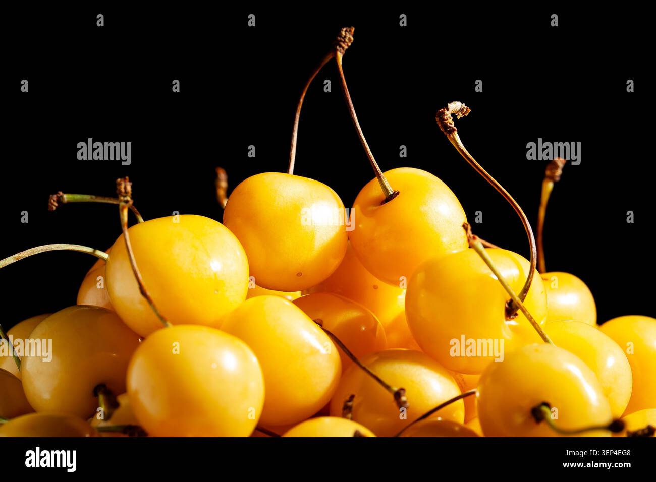 cerise jaune sur fond noir Banque D'Images