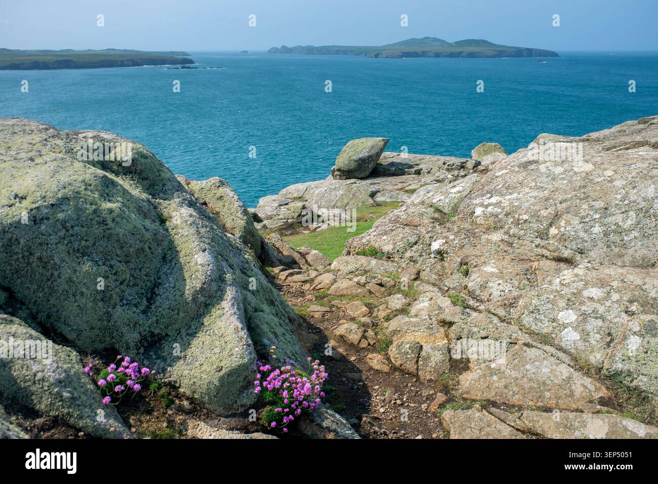 Ramsey Island from the Pembrokeshire Coast Path on a choisi Davids Head, Pembrokeshire, Wales, UK Banque D'Images