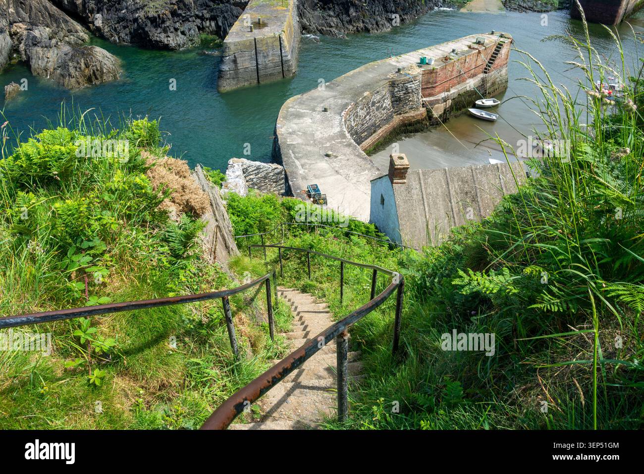 Marches escarpées menant au port de Porthgain, sur le Pembrokeshire Coast Path, Pembrokeshire, pays de Galles, Royaume-Uni. Banque D'Images
