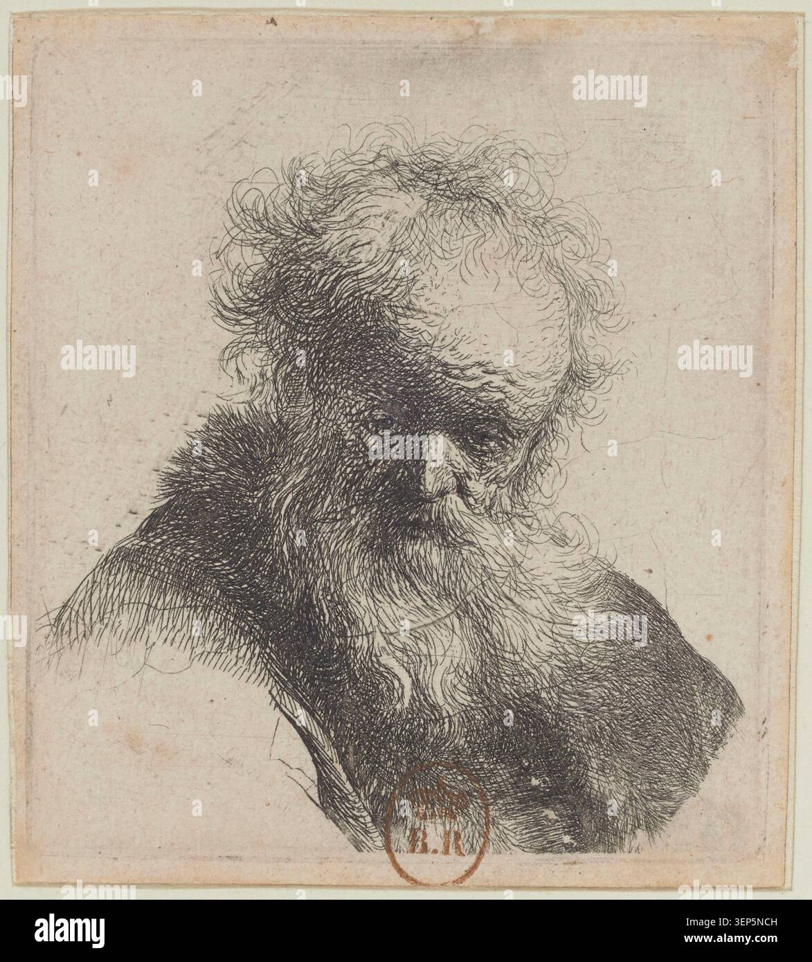 Un vieil homme chauve avec une grande barbe apparaît dans une gravure de Rembrandt datée de 1630. L'étude du portrait met l'accent sur les traits du visage, l'âge et l'expression dans un contexte artistique néerlandais du XVIIe siècle. Banque D'Images