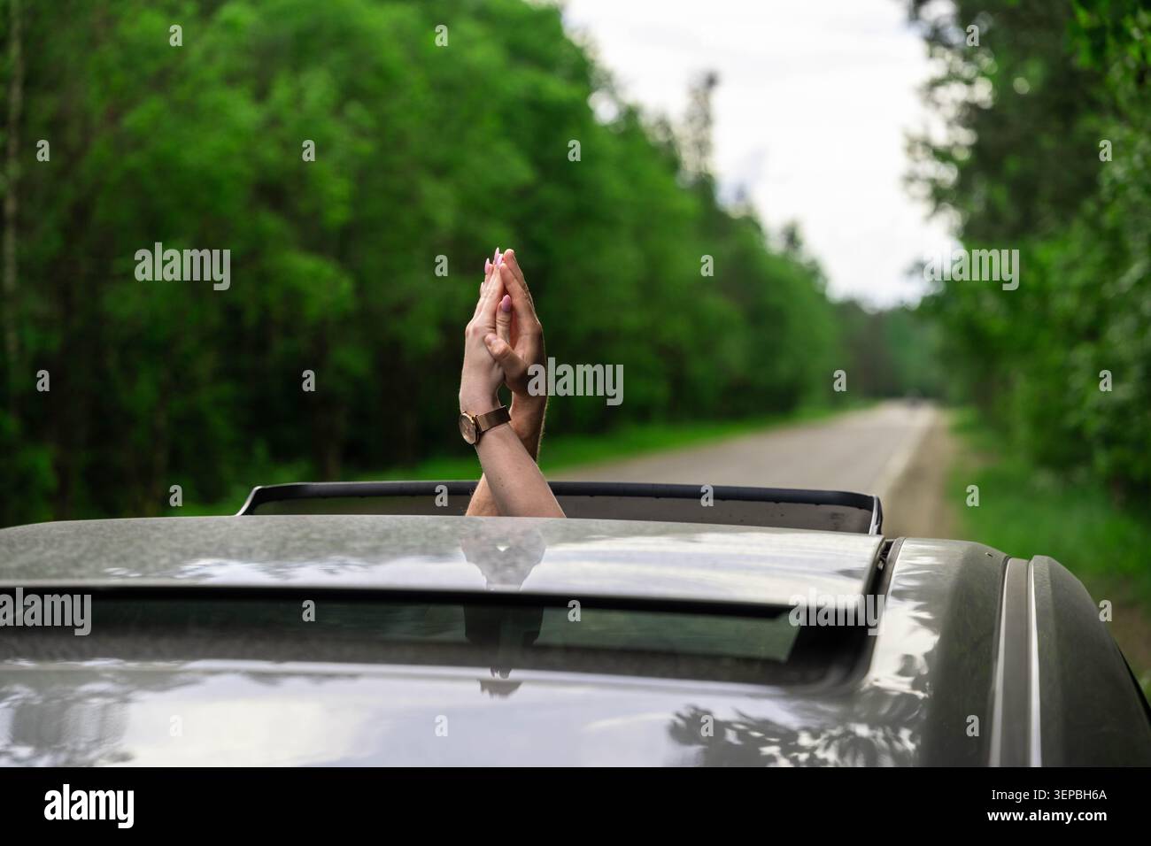 Les mains attachées se lèvent à travers le toit ouvrant d'une voiture ouverte tout en roulant le long d'une route bordée d'arbres, au feuillage vert flou, à la lumière du jour douce et à la conduite en extérieur calme Banque D'Images