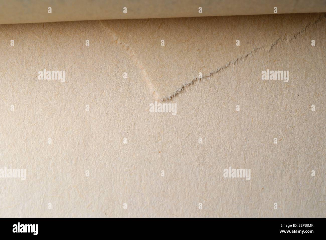 Des lignes et des textures subtiles dansent sur la surface douce et crémeuse, invitant le toucher. Banque D'Images