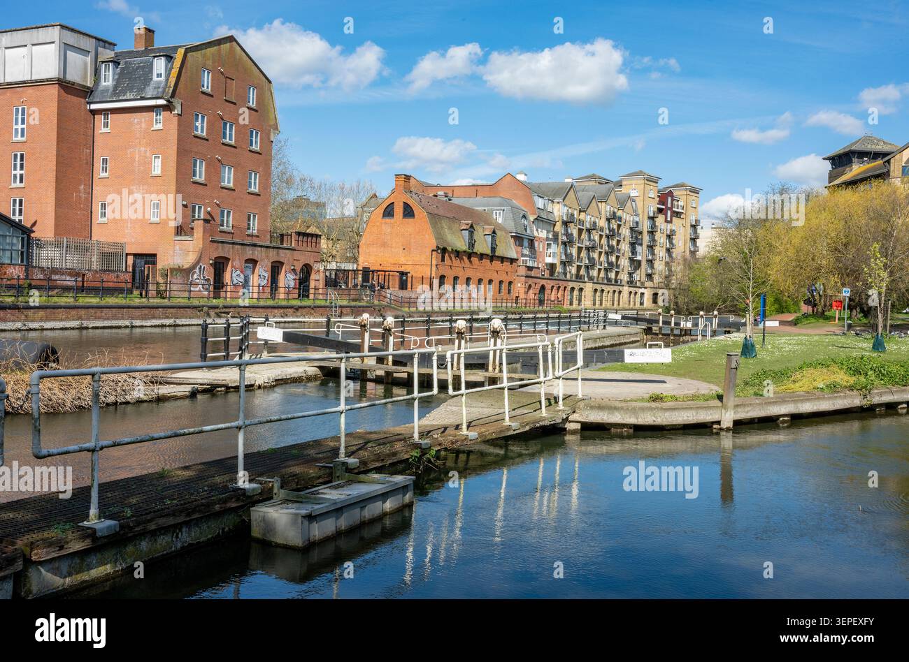Appartements au bord de l'eau sur la rivière Cherwell dans le centre-ville de Reading, Berkshire, Angleterre, Royaume-Uni Banque D'Images